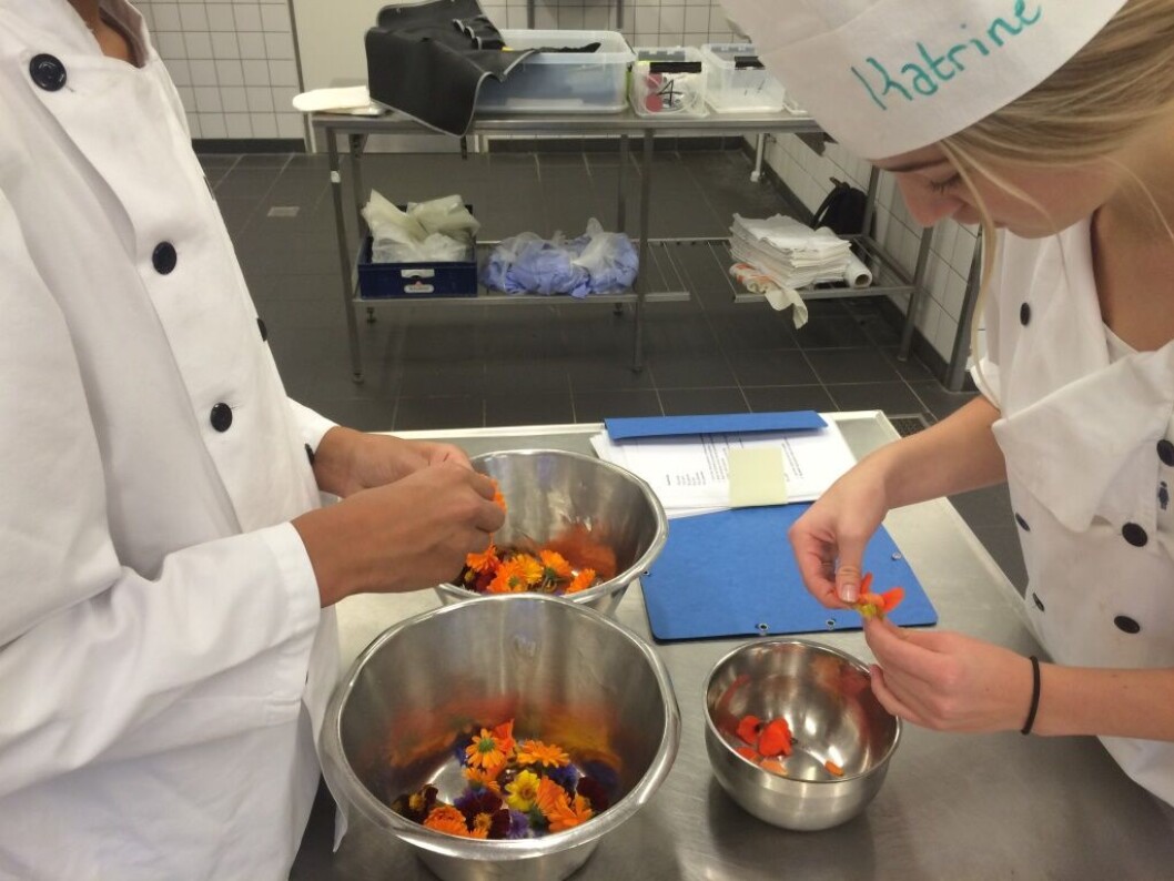 Planen er, at de københavnske elever skal gå to dage om ugen på bl.a. Hotel- og Restaurantskolen i Valby. Billedet er fra et tidligere brobygningsforløb på skolen. Planen er, at de københavnske elever skal gå to dage om ugen på bl.a. Hotel- og Restaurantskolen i Valby. Billedet er fra et tidligere brobygningsforløb på skolen.