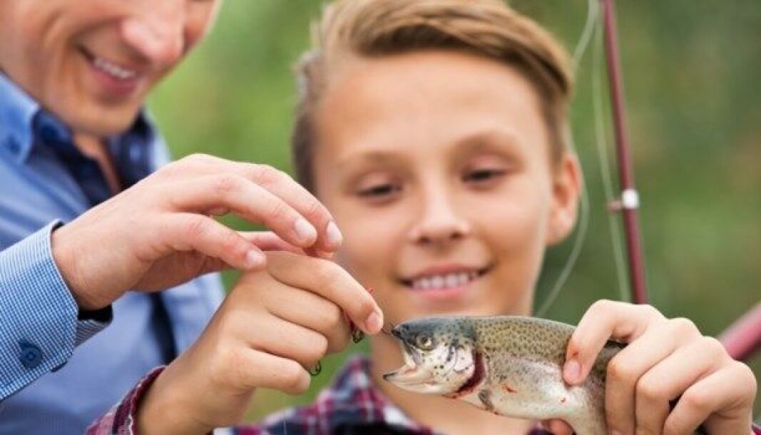 Et forskningsprojekt flyttede elevernes kendskab til fisk, så de gik fra at have en forestilling om fisk som frosne fiskepinde til en forestilling om, at fisk har gæller, fiskeben og øjne. Det er en af de artikler, du kan læse på folkeskolen.dk/madkundskab Et forskningsprojekt flyttede elevernes kendskab til fisk, så de gik fra at have en forestilling om fisk som frosne fiskepinde til en forestilling om, at fisk har gæller, fiskeben og øjne. Det er en af de artikler, du kan læse på folkeskolen.dk/madkundskab