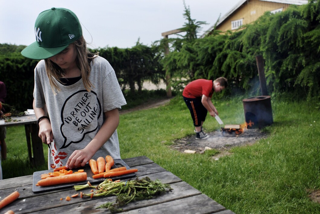 Et forløb i skolehaveprojektet 'Haver til Maver' består af 8-10 besøg, hvor eleverne bliver undervist i natur/teknik, landbrug, fotosyntese, madlavning og sunde madvaner. Et forløb i skolehaveprojektet 'Haver til Maver' består af 8-10 besøg, hvor eleverne bliver undervist i natur/teknik, landbrug, fotosyntese, madlavning og sunde madvaner.