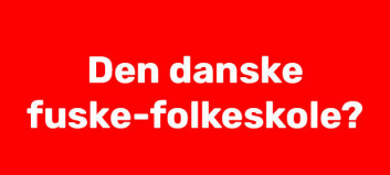 Den danske fuske-folkeskole