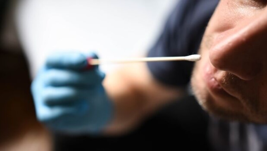 De nye retningslinjer giver lærere og elever mulighed for at få gratis selvtest, når skolerne åbner igen. De nye retningslinjer giver lærere og elever mulighed for at få gratis selvtest, når skolerne åbner igen.