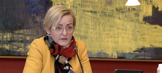 Minister: Danmark har halvt så meget praktisk undervisning som i Norge og Sverige