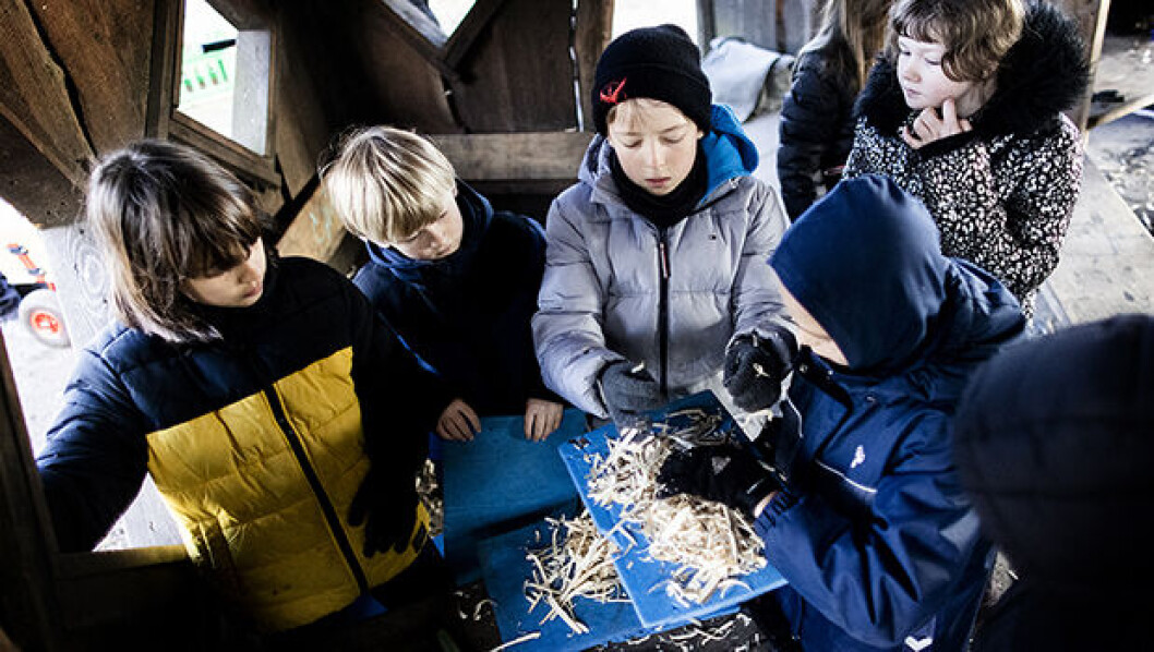 Der skal mange spåner til et lille bål. Spånerne samles op på siddeunderlagene og fragtes hen til bålpladsen, hvor eleverne kan bygge bålet op. Senere lærer eleverne at stable træklodser til et pagodebål, hvor der er luft og godt med ilt til ilden. Et klodsmajorbål døber eleverne den type bål – efter spillet Klodsmajor. Klik på pilene for at se de næste billeder. Der skal mange spåner til et lille bål. Spånerne samles op på siddeunderlagene og fragtes hen til bålpladsen, hvor eleverne kan bygge bålet op. Senere lærer eleverne at stable træklodser til et pagodebål, hvor der er luft og godt med ilt til ilden. Et klodsmajorbål døber eleverne den type bål – efter spillet Klodsmajor. Klik på pilene for at se de næste billeder.