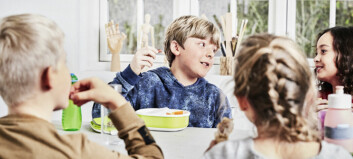 Ny guide vil hjælpe lærere til at give bedre rammer for spisefrikvarteret