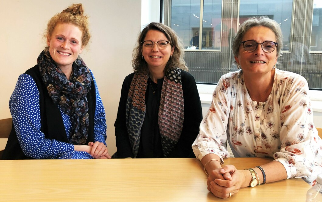Thilde Kold, Maria Gøricke og Katrine Lotterup nyder at få ny inspiration til, hvad de kan læse med deres elever.