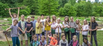 Skolehaver: Nu får Frederiksberg-elever også jord under neglene