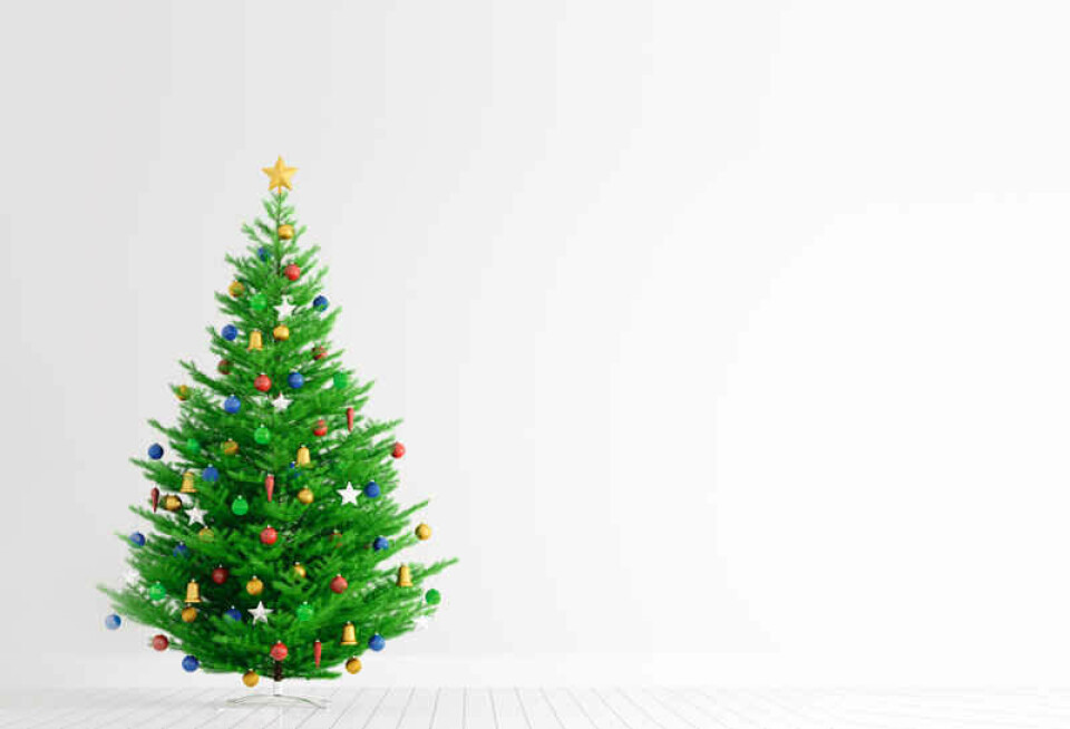 Juletræet er for mange en vigtig del af juletraditionen.