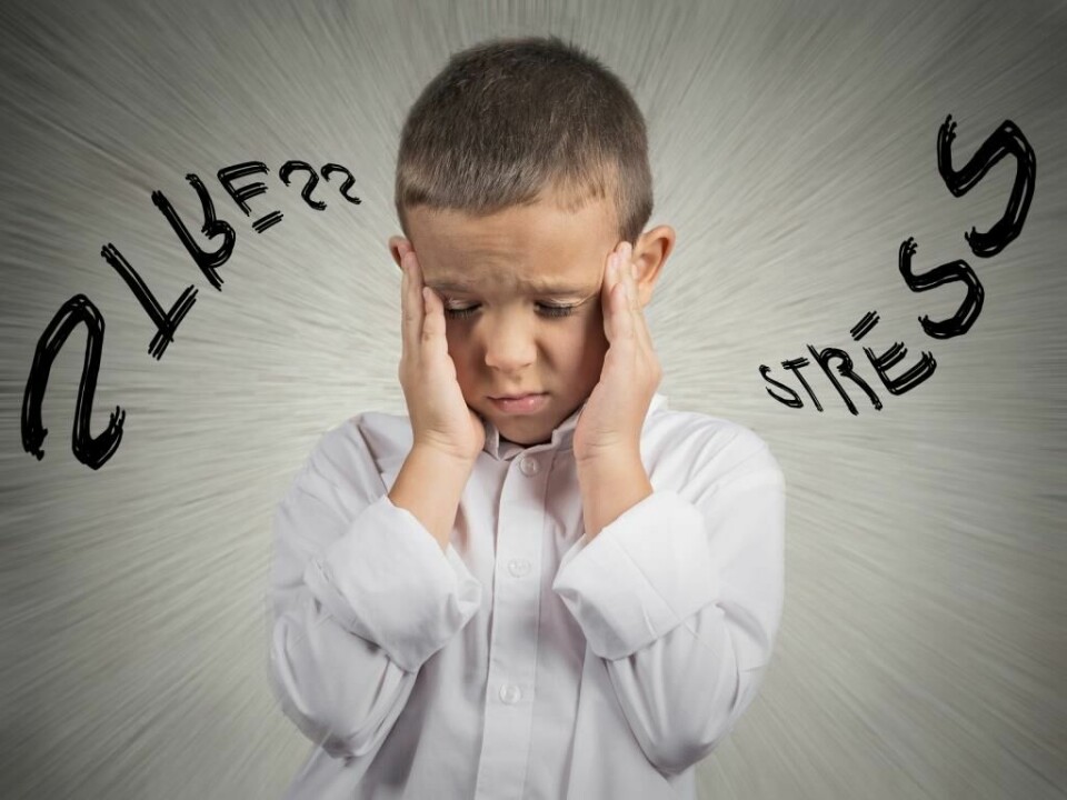 ”Risikoen for at udvikle ADHD er størst i et miljø, hvor man ikke har overskud til at tage sig af det barn, som er mere sårbart”, forklarer professor Niels Bilenberg.