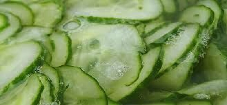 Agurkesalat