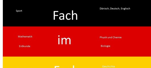 FIF  til tyskundervisningen