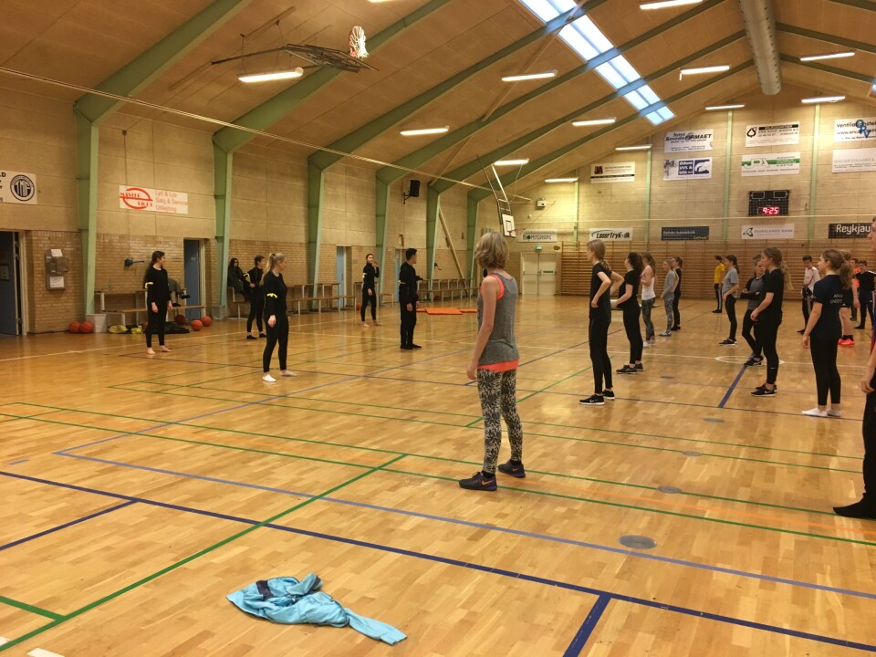 Samarbejde på flere planer – del 2