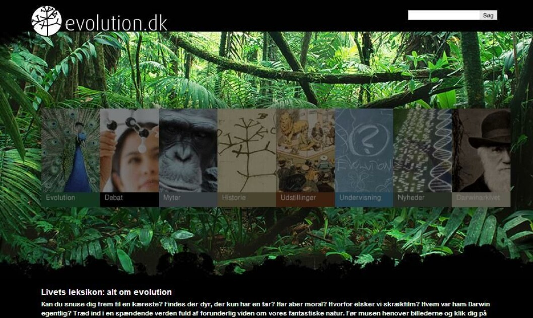 www.evolution.dk www.evolution.dk