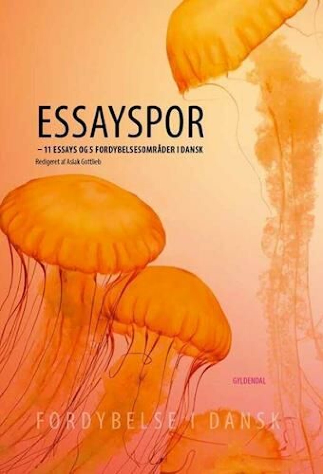 Essayspor Essayspor