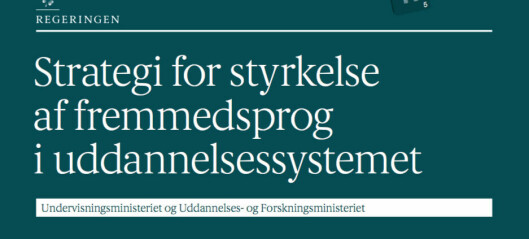 Åbent brev til Merete Riisager:  Sprogstrategiens konsekvenser