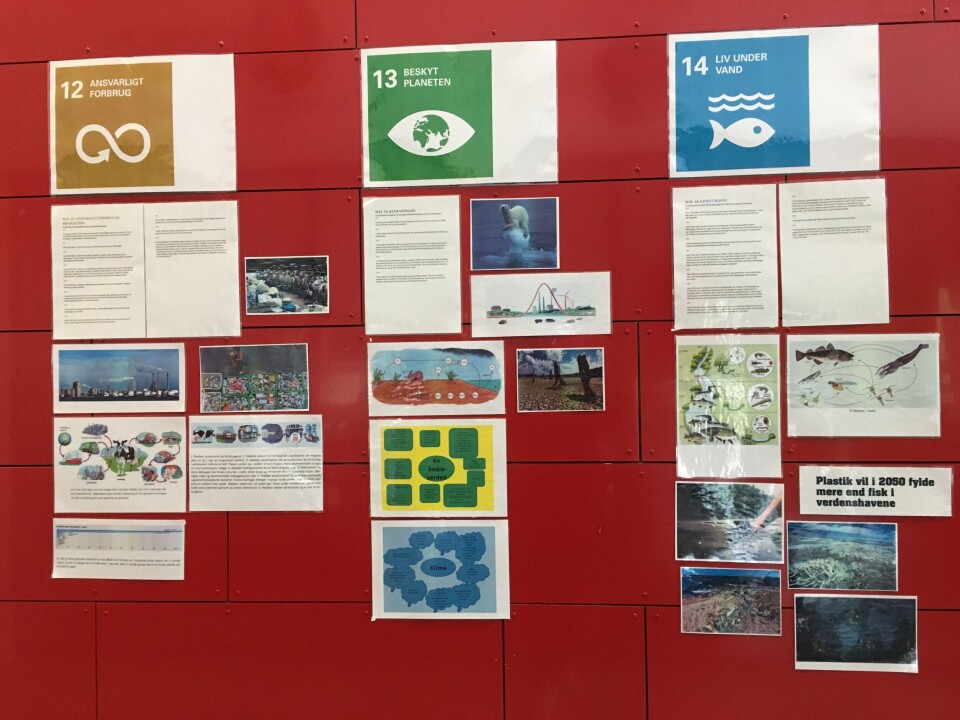 Virkelighedsnær projektopgave