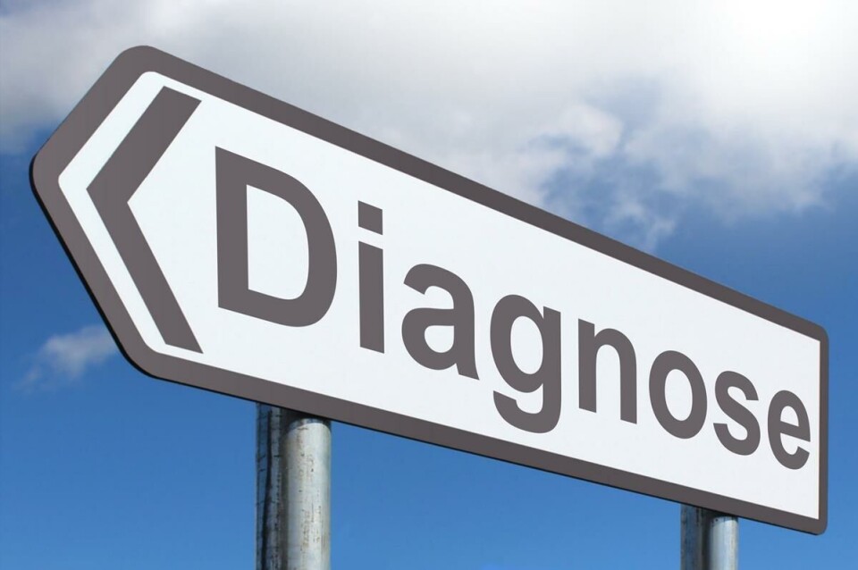 Stigning i børn med diagnoser; skyldes det den akademiserede skole og det effektiviserede samfund?