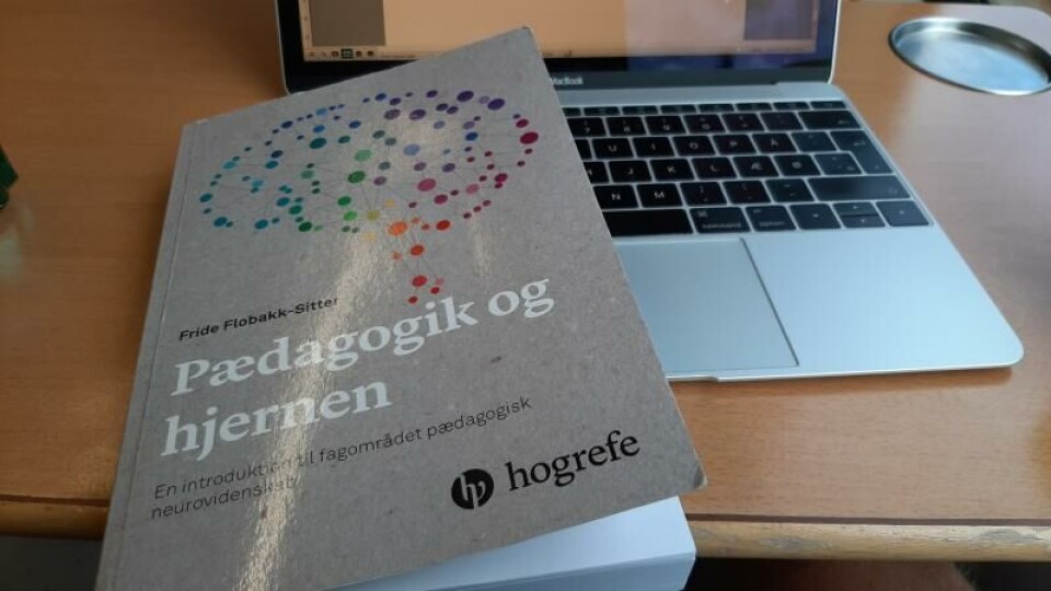 Hjernemyter og læringsmæssig praksis