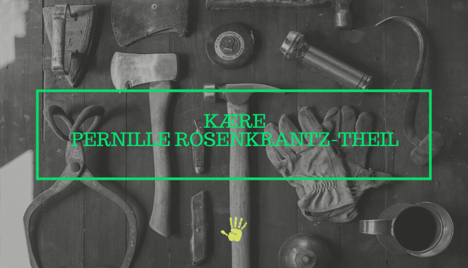 Kære Pernille Rosenkrantz-Theil. Åbent brev til børne - og undervisningsministeren.