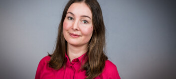 Ulykkelige konsekvenser for de nyankomne elever - politisk ansvar efterlyses Ulykkelige konsekvenser for de nyankomne elever - politisk ansvar efterlyses