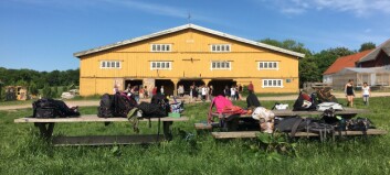 Elevernes anden dag i Haver til Mavers kulinariske skolehave