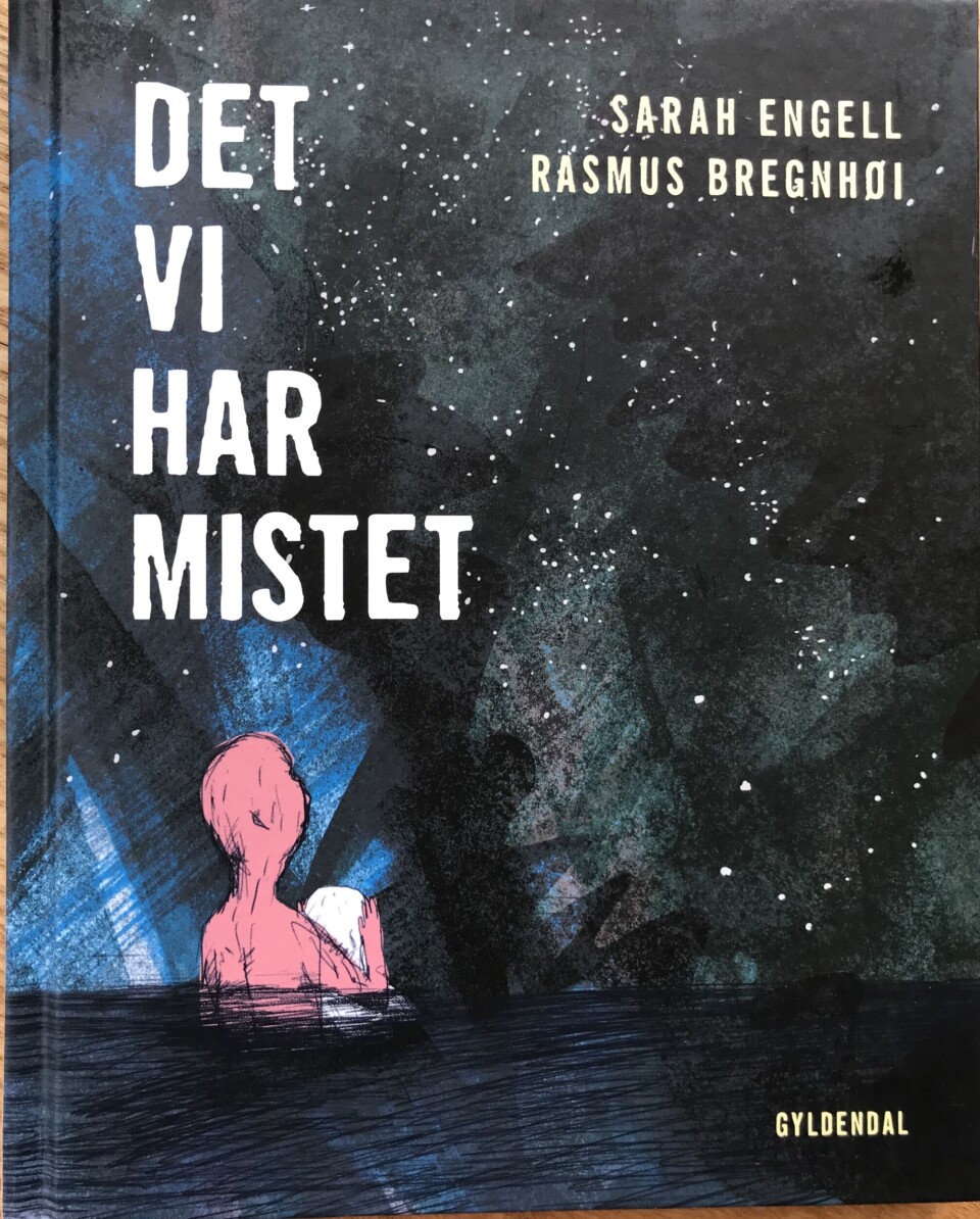 Billednoveller - nogle tekster er bare bedre med billeder