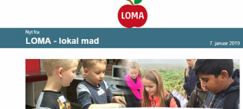 Nyhedsbrev fra 'Netværk for LOMA skoler'