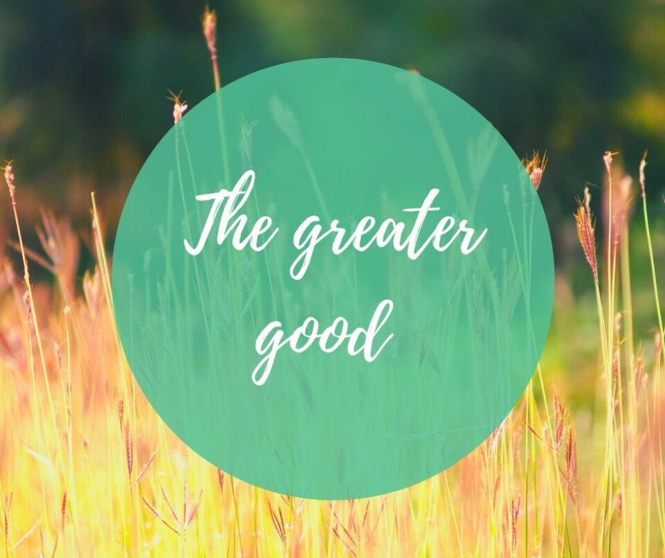 Praktisk undervisning for the greater good (i denne tid).