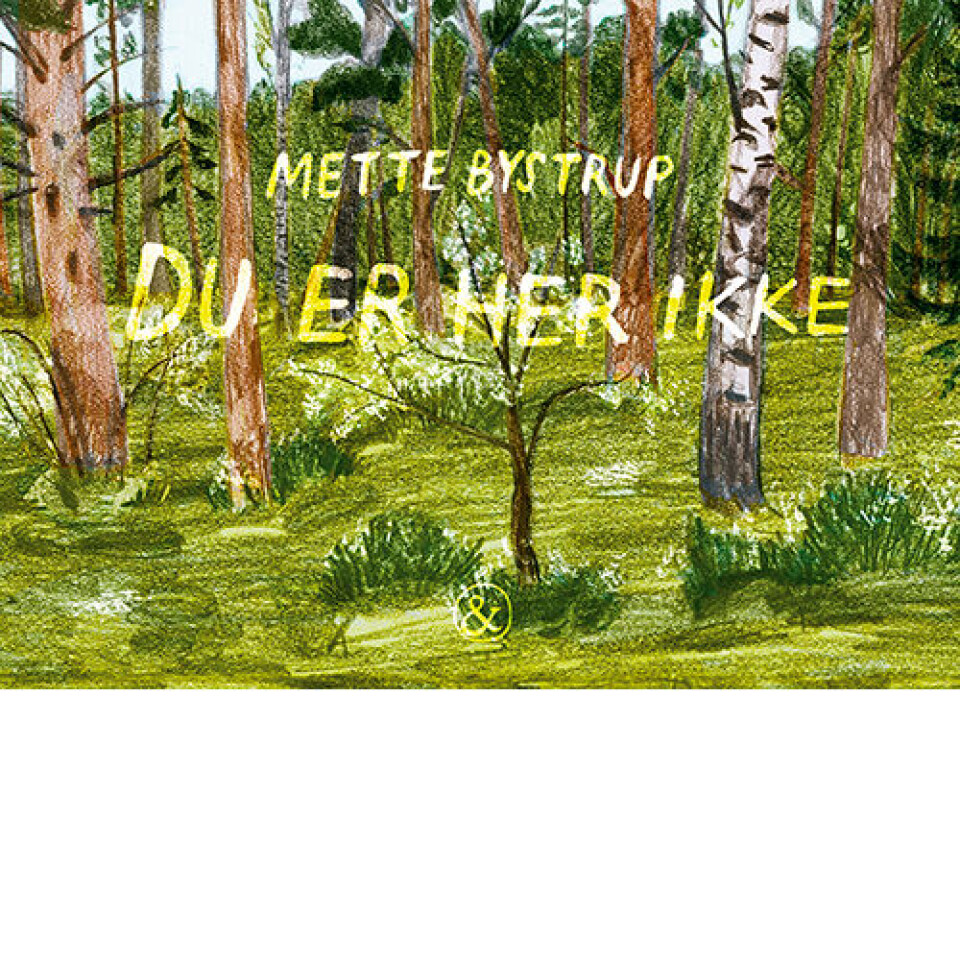 Du er ikke her, - en bog i billeder