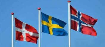 Bachelor: Undervisning i norsk og svensk bør opprioriteres