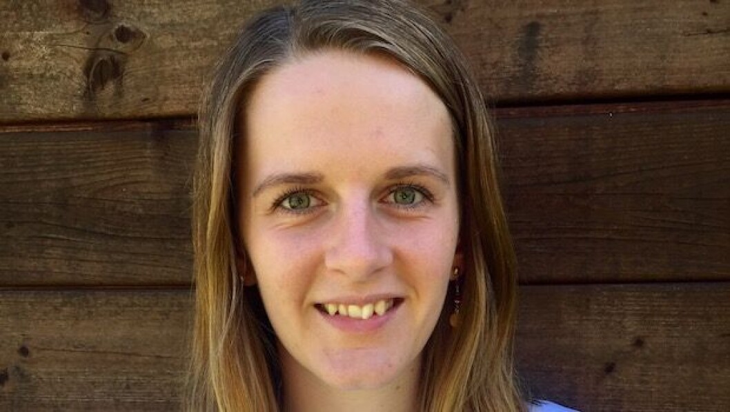 Eleverne skal skabe deres egne erkendelser i mødet med kognitive konflikter, skriver Helle Jørgensen. Eleverne skal skabe deres egne erkendelser i mødet med kognitive konflikter, skriver Helle Jørgensen.