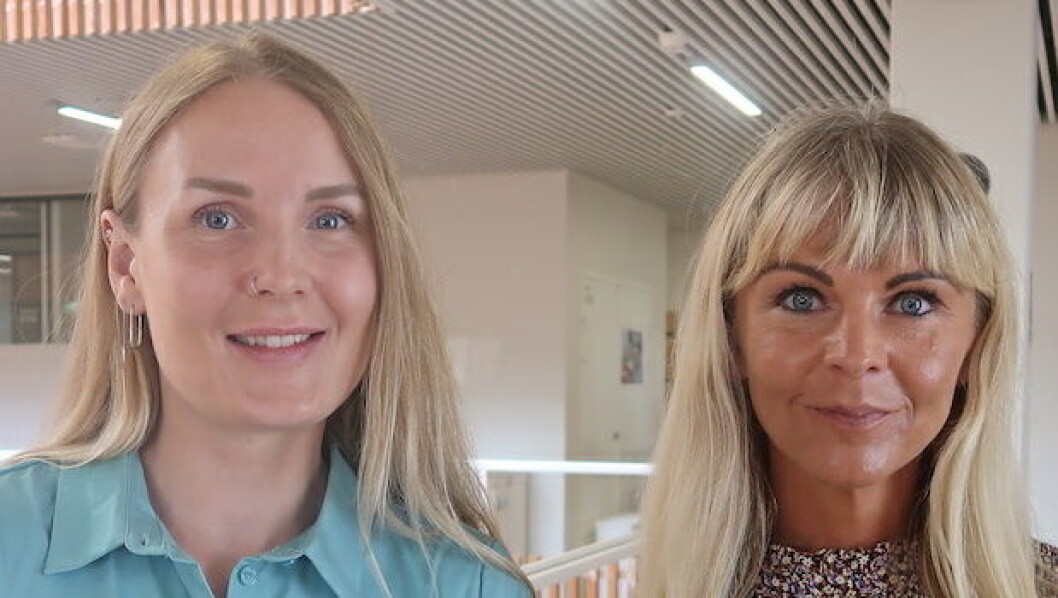 Danskfaget skal lære eleverne at analysere, reflektere og navigere i online kommunikation, siger Nikita Harding og Annika Lodberg. Danskfaget skal lære eleverne at analysere, reflektere og navigere i online kommunikation, siger Nikita Harding og Annika Lodberg.