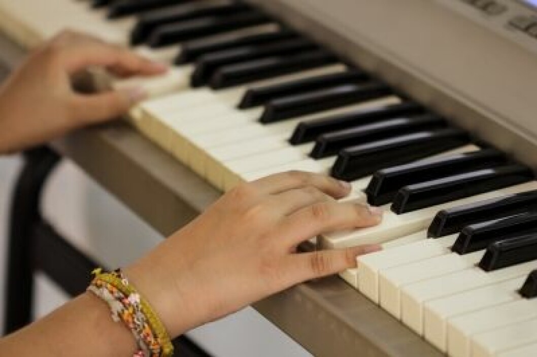 Censorerne på læreruddannelsen efterlyser mere tid til de studerende til at øve færdigheder som klaver og sang.