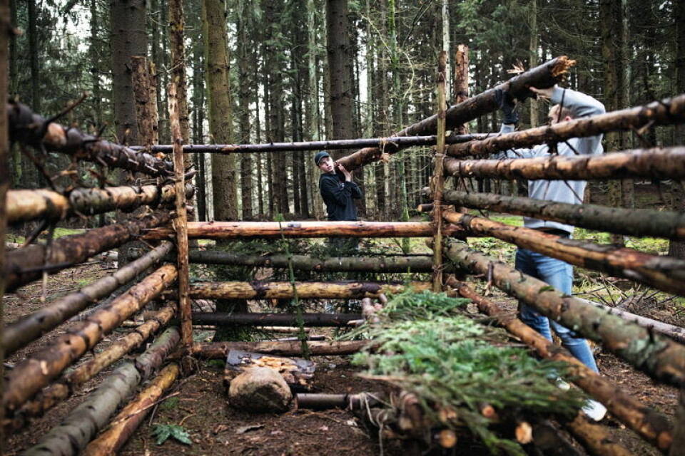 Forløbet med at bygge en hytte i skoven indgår i sciencelinjen. Andre linjer, som eleverne skal igennem i løbet af udskolingen, er for eksempel en sundhedslinje og en erhvervslinje.