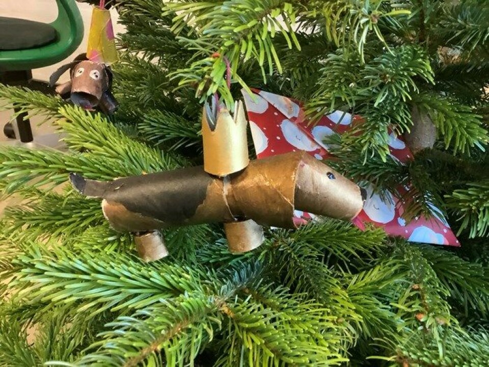 Genbrugshunden ”Upcycle”