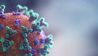 Photo by Fusion Medical Animation on Unsplash Photo by Fusion Medical Animation on Unsplash