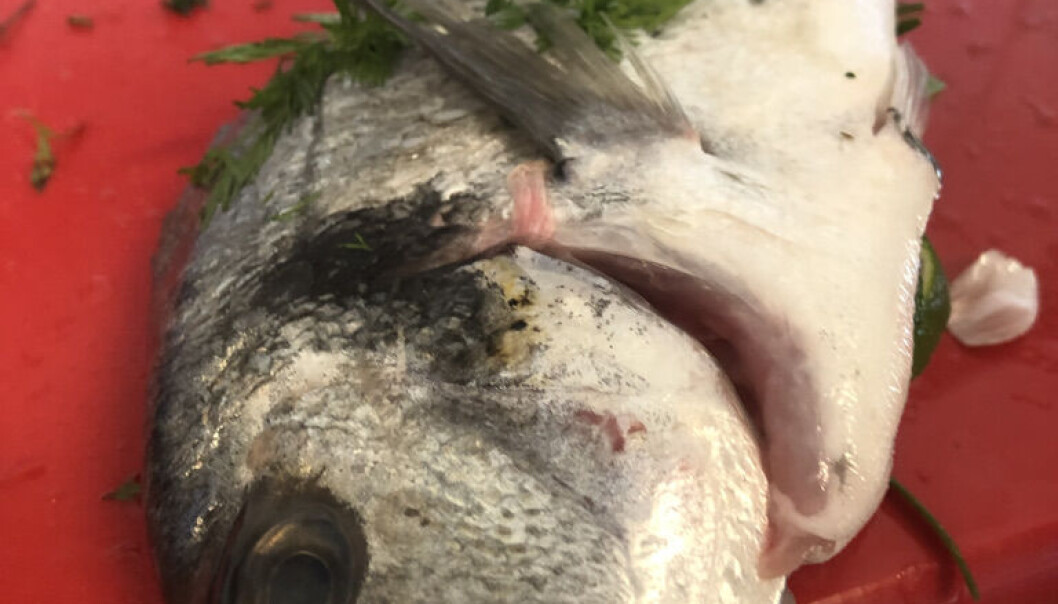 Fyldt fisk klar til ovnen Fyldt fisk klar til ovnen