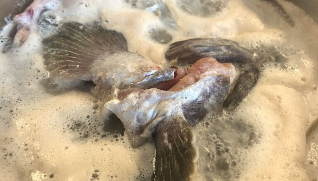 Fiskefond til sauce og suppe Fiskefond til sauce og suppe