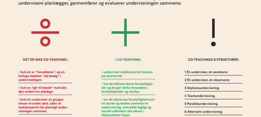 Aalborg satser stort på co-teaching