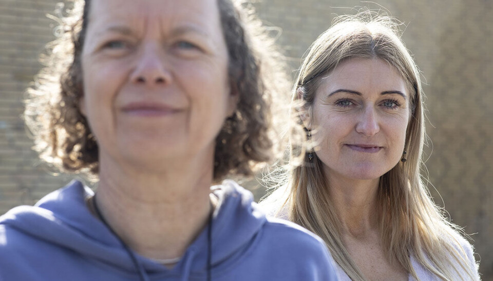 Socialrådgiver Tina Mogensen Givskud Tilst Skole er en af de eneste skoler i Danmark, der har en skolesocialrådgiver ansat - og hvad betyder det så for inklusionsarbejdet, for lærernes arbejde med inklusion mv. Socialrådgiver Tina Mogensen Givskud Tilst Skole er en af de eneste skoler i Danmark, der har en skolesocialrådgiver ansat - og hvad betyder det så for inklusionsarbejdet, for lærernes arbejde med inklusion mv.