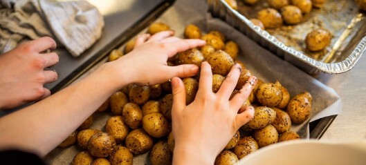 Madkundskaben i skolen lider nød – og det er et samfundsproblem! Madkundskaben i skolen lider nød – og det er et samfundsproblem!