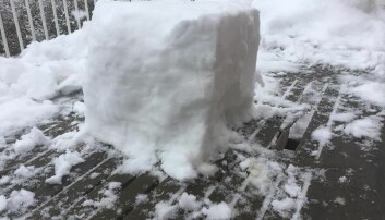 Kuber i sne