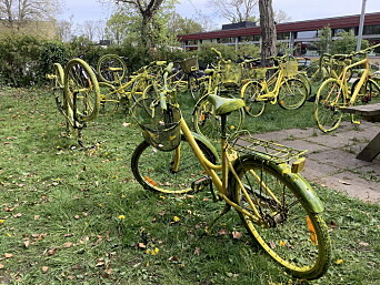 Gule cykler her, der og alle vegne Gule cykler her, der og alle vegne