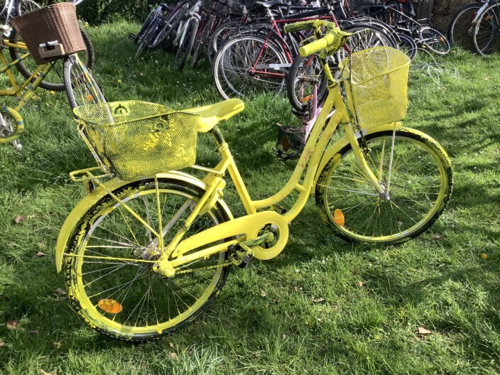 Gule cykler Gule cykler