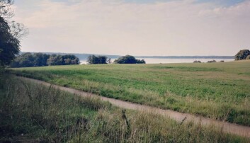 Furesøen Furesøen