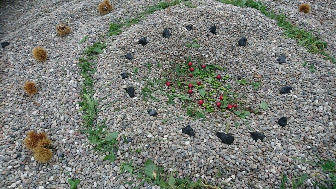 Elev landart Elev landart