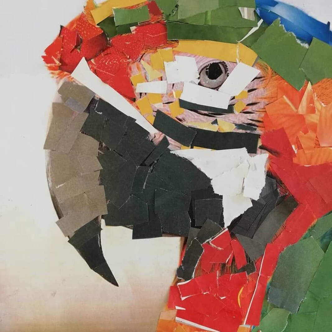 Dyrecollage med rive- og klippeteknik Dyrecollage med rive- og klippeteknik