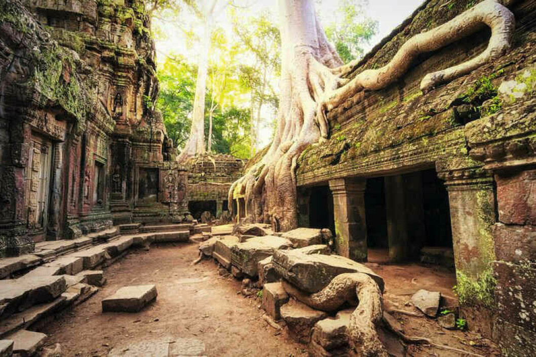 Angkor Wat er et af verdens mest sagnomspundne tempelkomplekser.