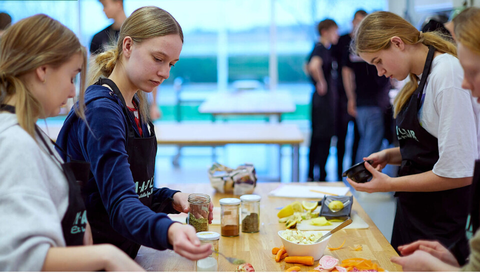 Flere piger deler madbilleder på sociale medier end drenge, og flere piger lever efter særlige madregler, viser en ny rapport fra Arla Fonden