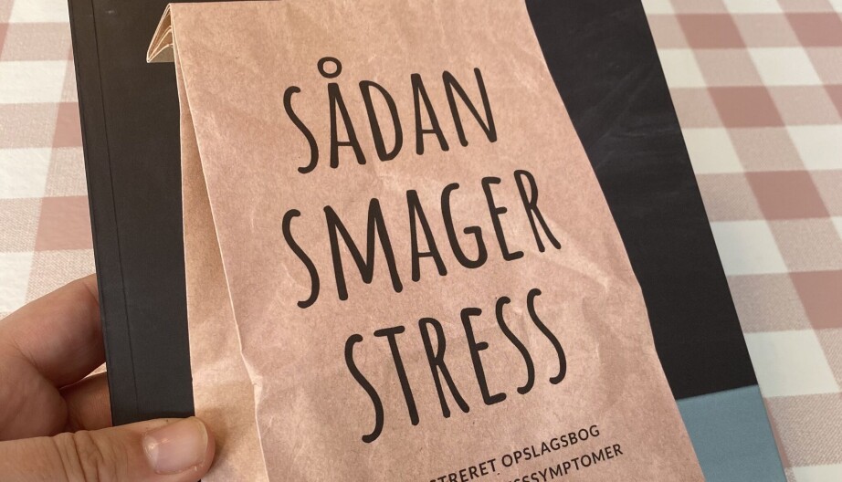 'Sådan smager stress' er titlen på Lotte Bildes bog.