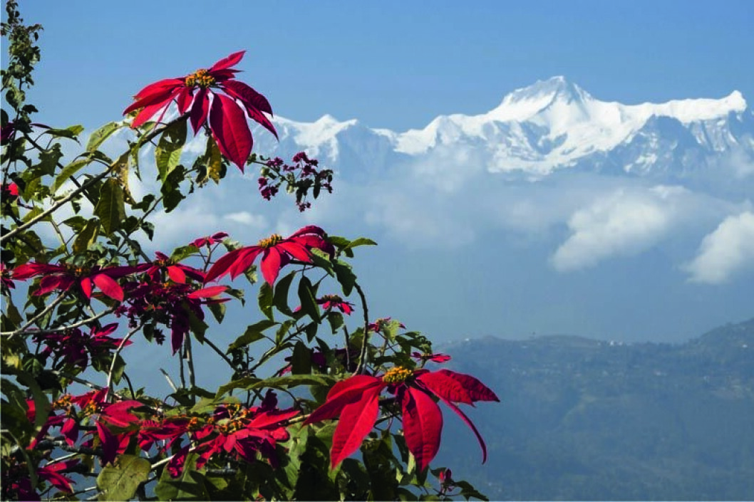 Rejsen byder på vandreture med udsigt til Himalaya.